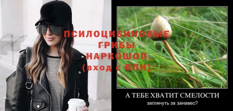 Псилоцибиновые грибы MAGIC MUSHROOMS  Луза 